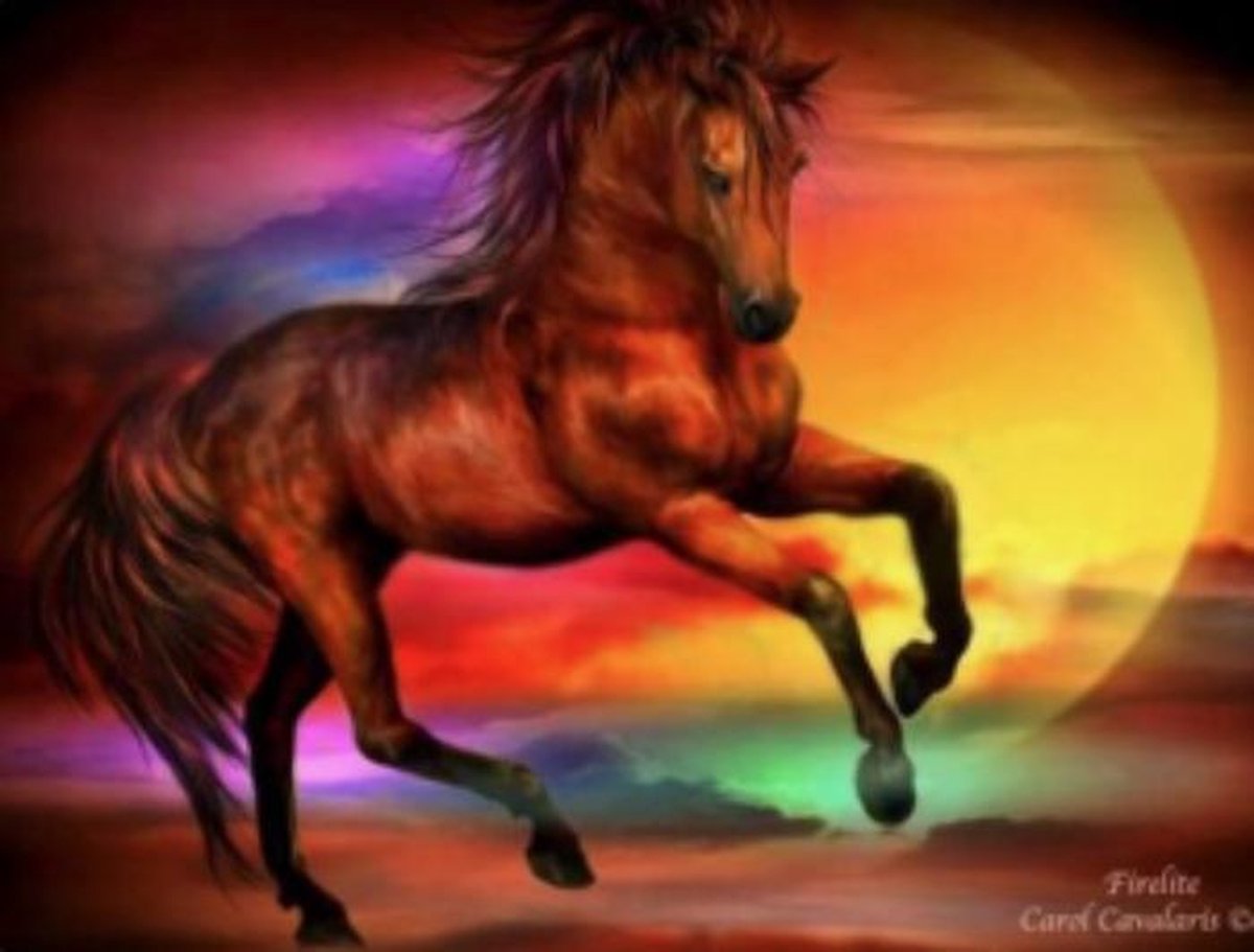 Diamond Painting Volwassenen - Paard Multicolor - 50x40 cm (Volledige Bedekking) - Inclusief Premium Tools