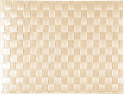 Saleen Rectangular Placemat