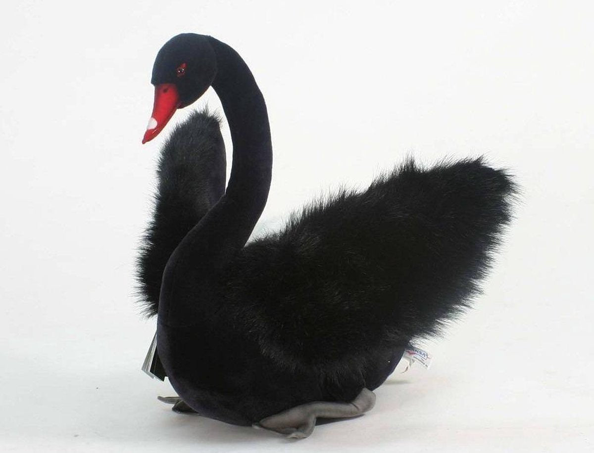 Zwarte Zwaan Knuffel