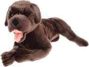 Bicolini Knuffel Labrador 37