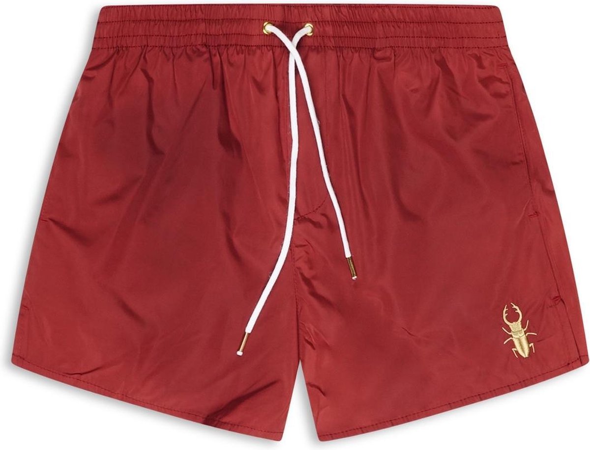 Conflict Swim Short Beetle Bordeaux