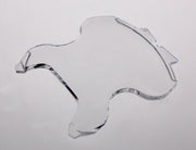 Display Shield Suunto Cobra2/3