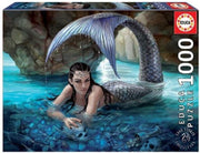 Educa - Puzzel 1000 stukjes - Hidden Depths