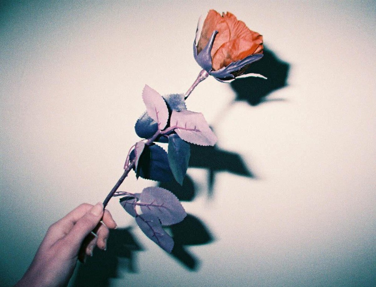 Lomochrome XR 100-400 Purple