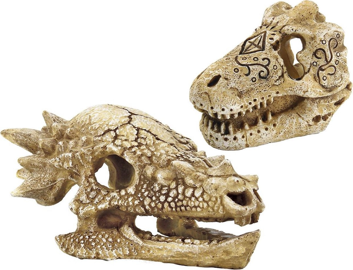 SF Schedel T Rex M aquarium ornament