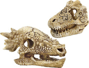 SF Schedel T Rex M aquarium ornament