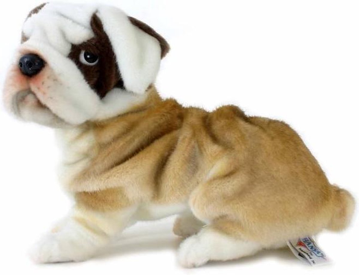 Bulldog Knuffel