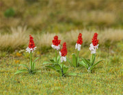 Faller - 32 Orchideeprimula