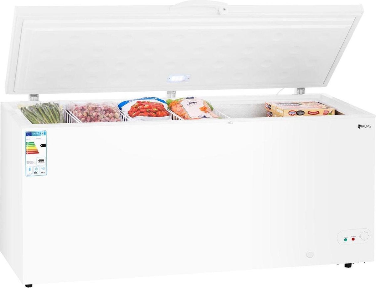 Royal Catering Horeca Vriezer - 560 L