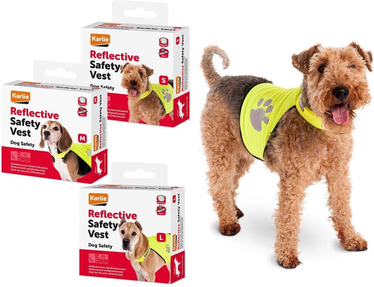 Vest - s night walk for dogs