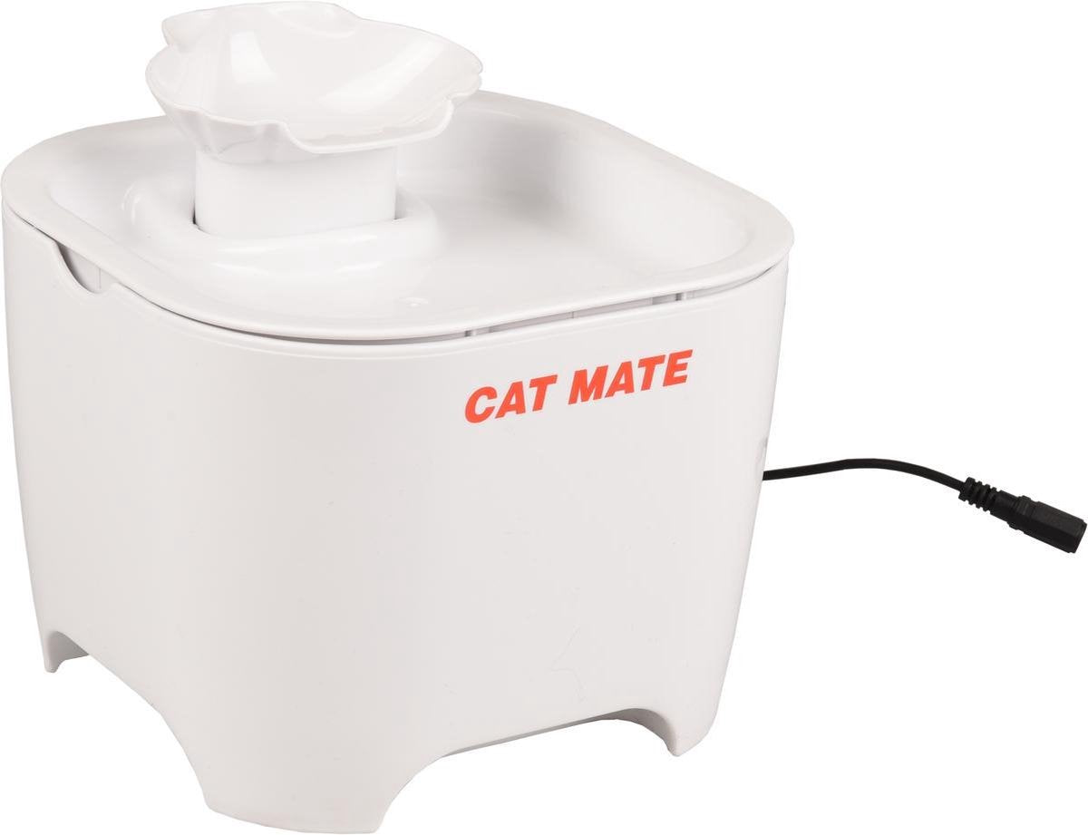 Drinkfontein Cat mate