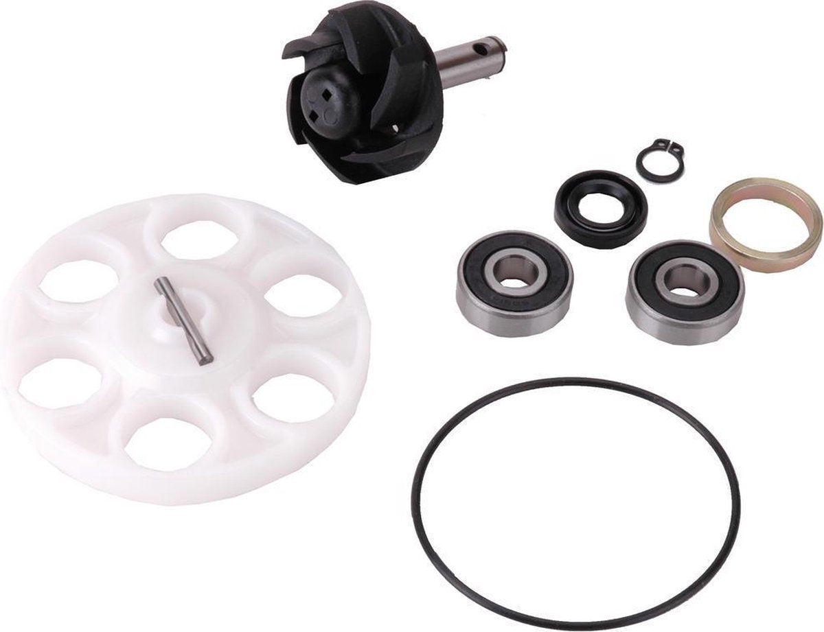 Waterpomp Revisieset DR | Minarelli LC