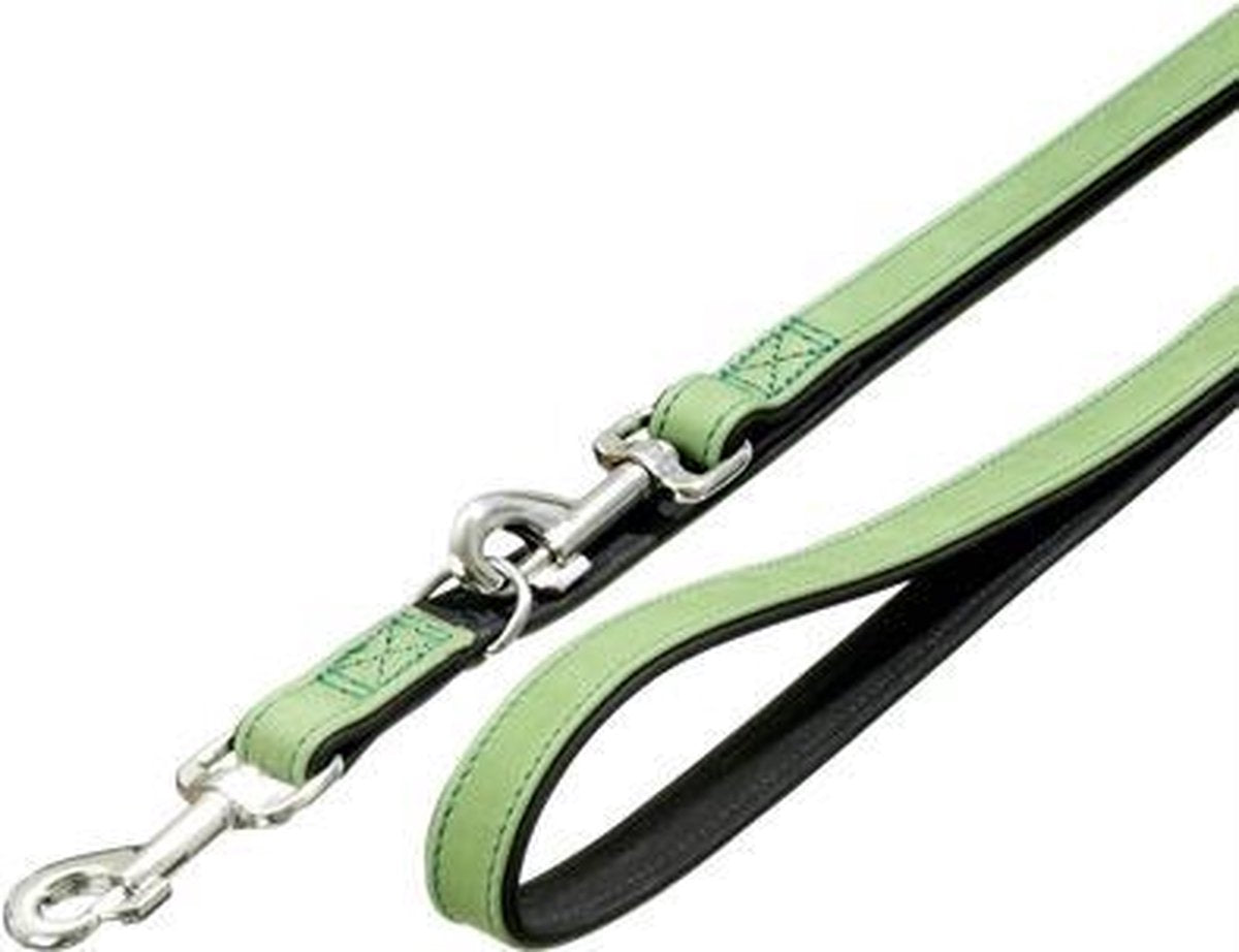 T.leash waidm. heil 200cm 18mm green/black