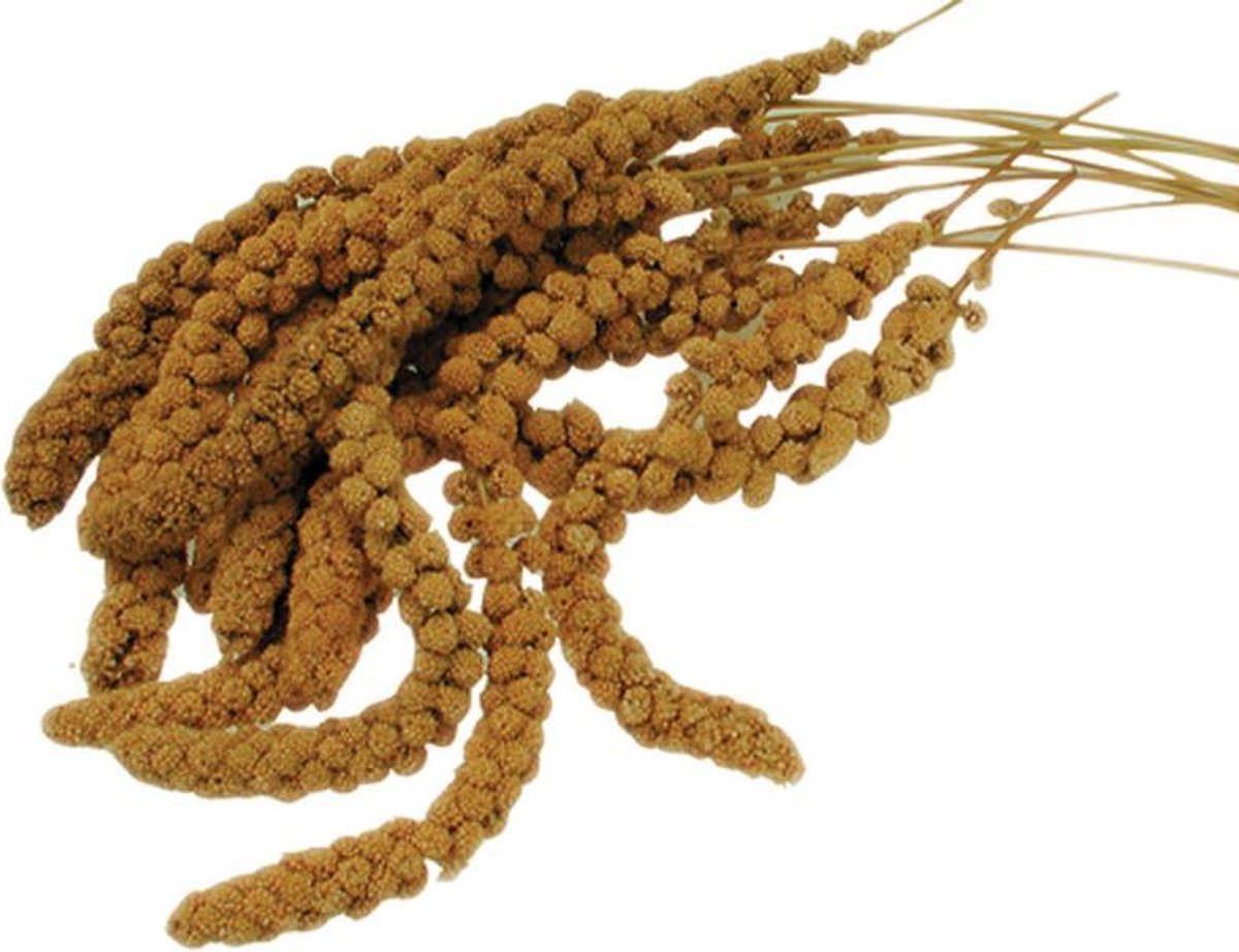Vadigran trosgierst frans - 1 kg