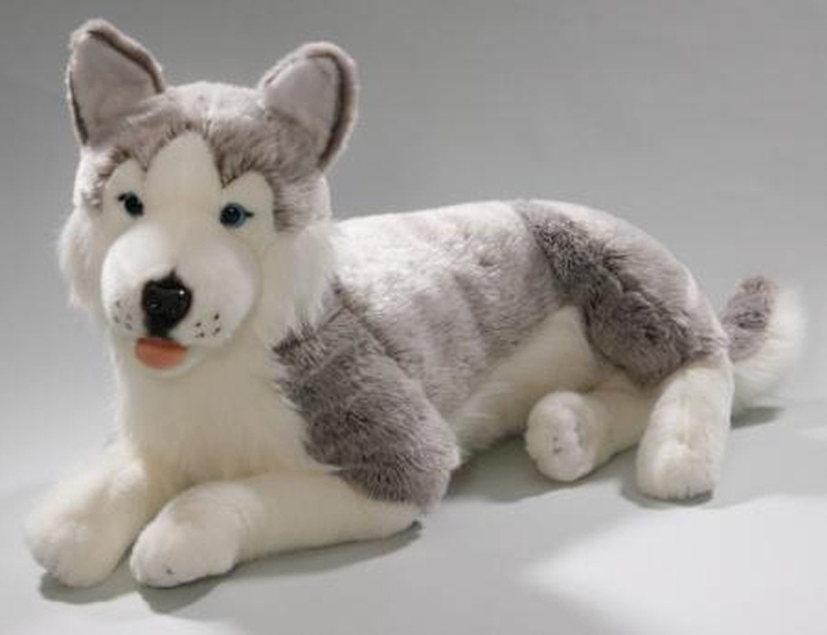 Bicolini Pluche Husky 60cm