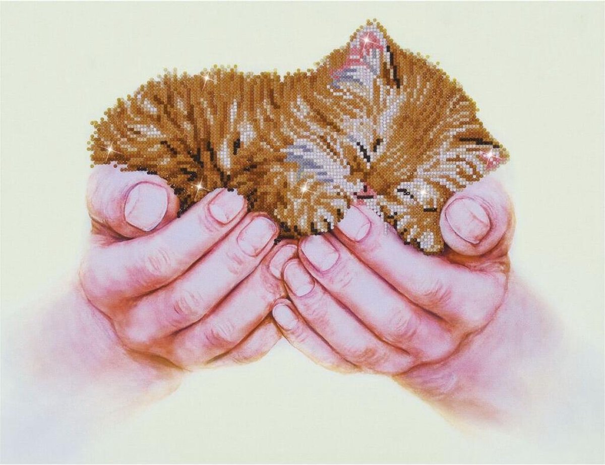 Diamond Dotz ® – Diamond painting – Volwassenen – Ronde steentjes – Hobby Pakket – Kat – 52 x 40 cm