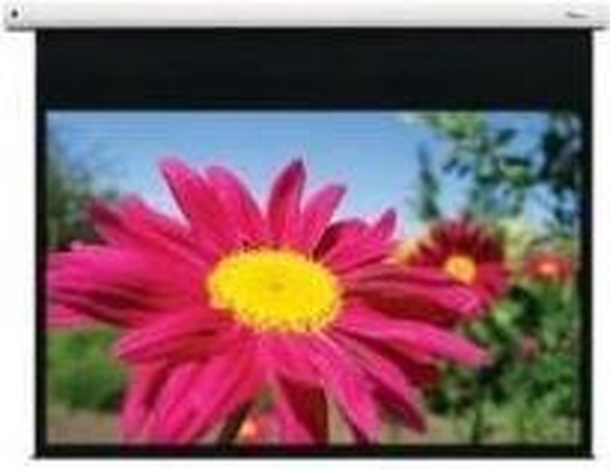 Optoma DE-1123EGA projectiescherm 3