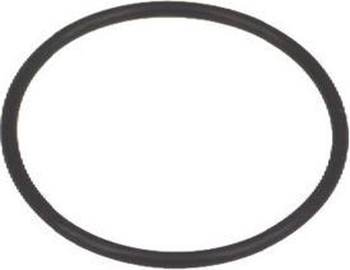 SAECO - DICHTING  - 0019-10 IN EPDM - 140328461