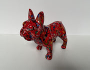 Pomme pidou Franse bulldog Jack