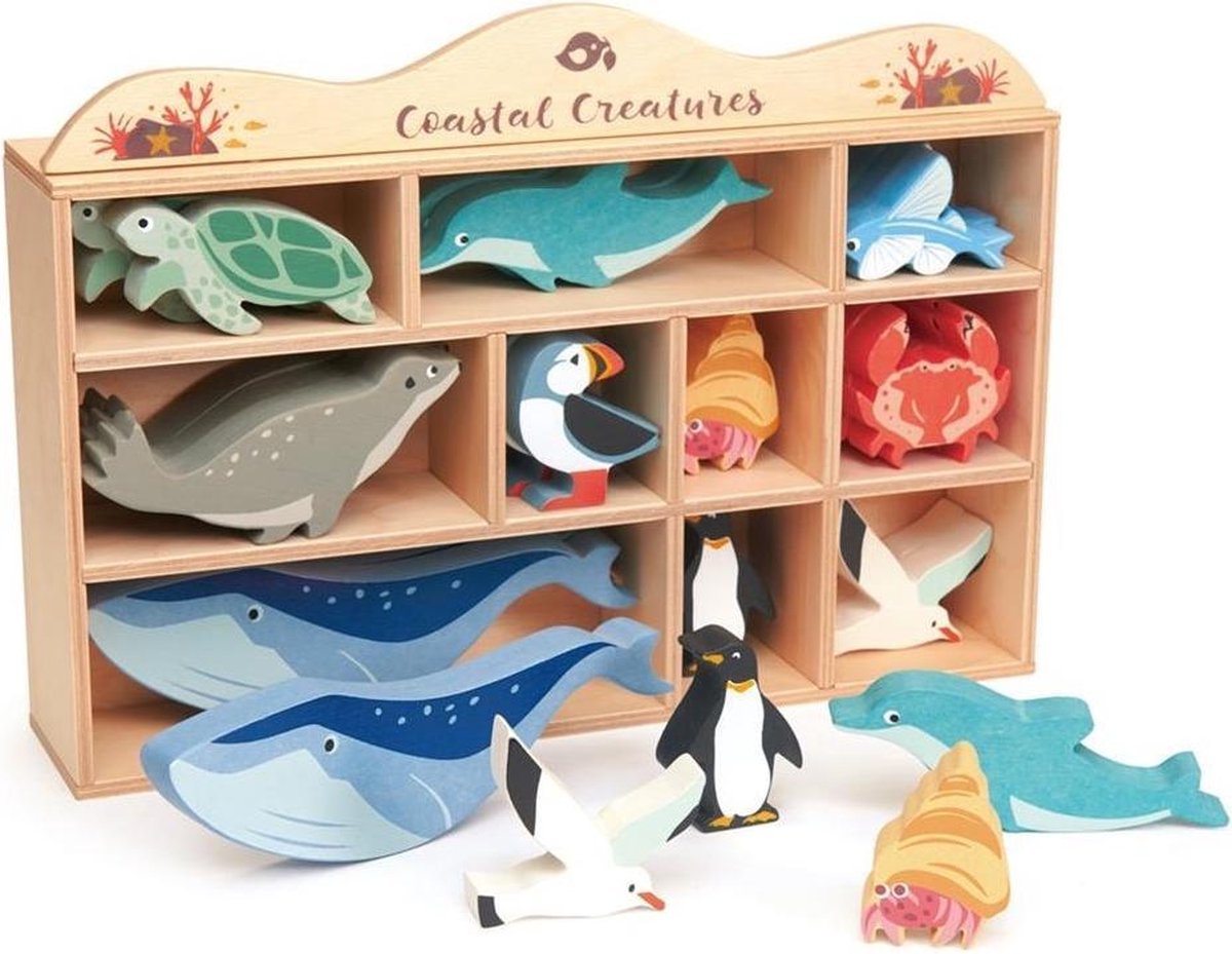 Tender Leaf Toys Dierenset Coastel 38 X 22 Cm Hout 31-delig