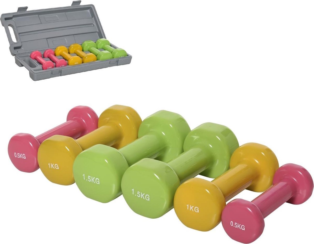 Dumbbell set - Aerobics set - Dumbbells - Met koffer - 6 gewichten