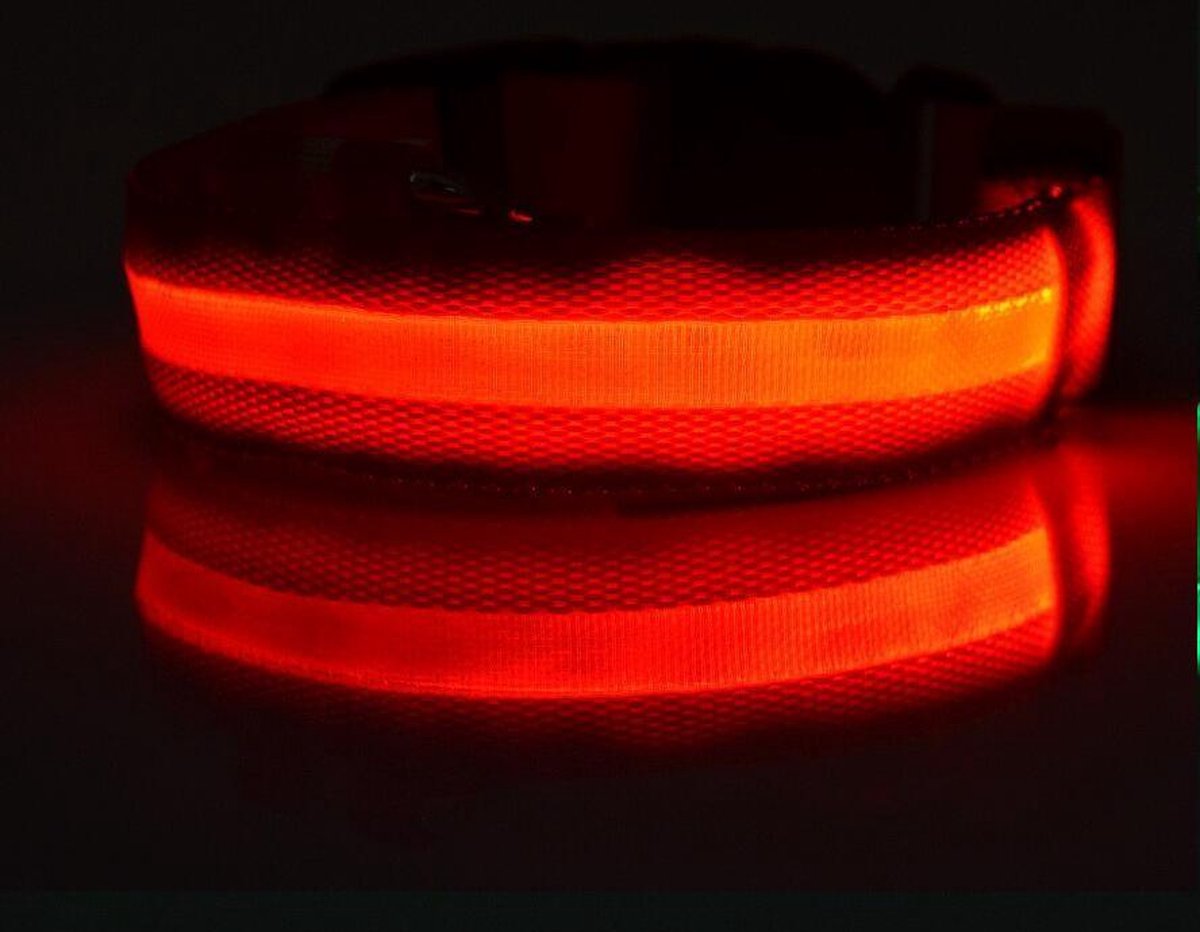 LED halsband voor honden - Rood - L - Lichtgevende halsbanden voor hond - Puppy halsbandje - Puppie - Halsbandjes - Hondenhalsband met lichtje - Lichtgevend - Licht in het donker - Hondenhalsbanden