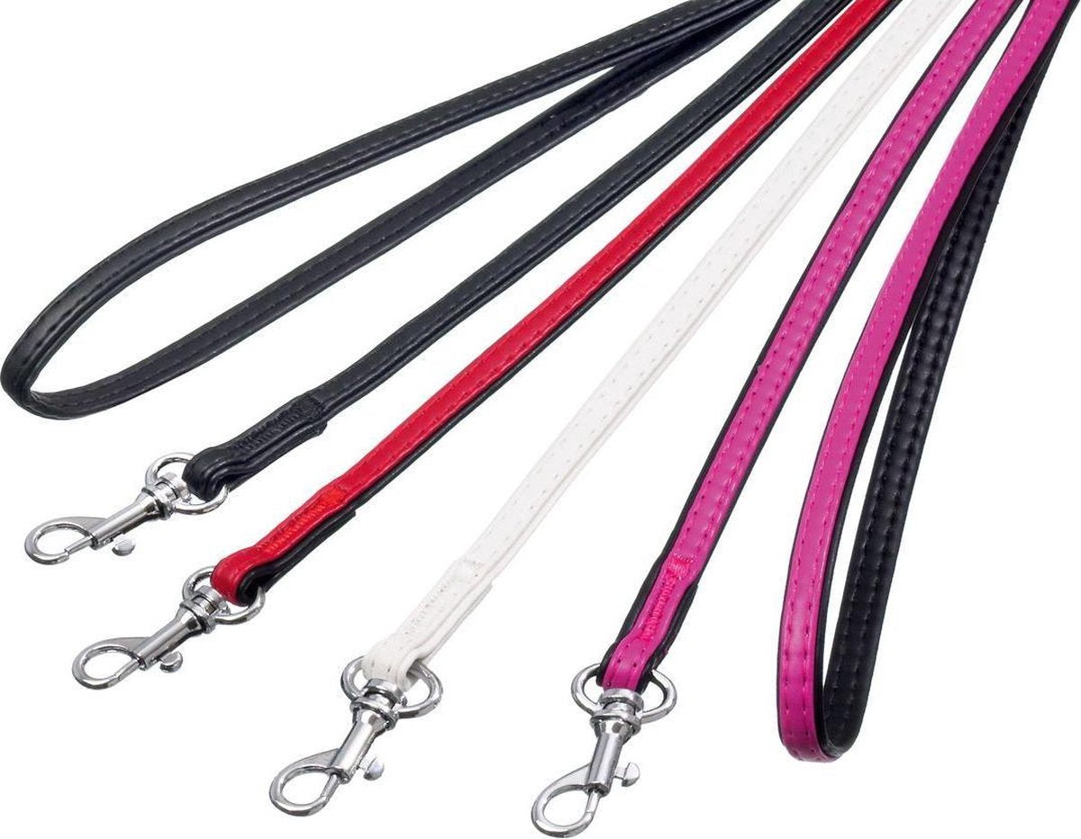 Paris leash