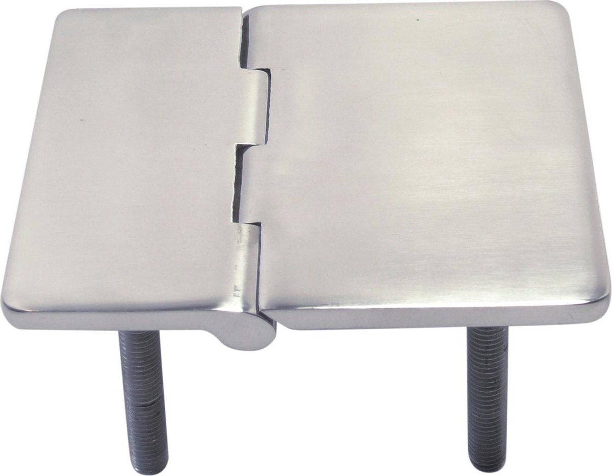 Luikscharnier - 80x65x4 - Rvs 316 - Knoop onder