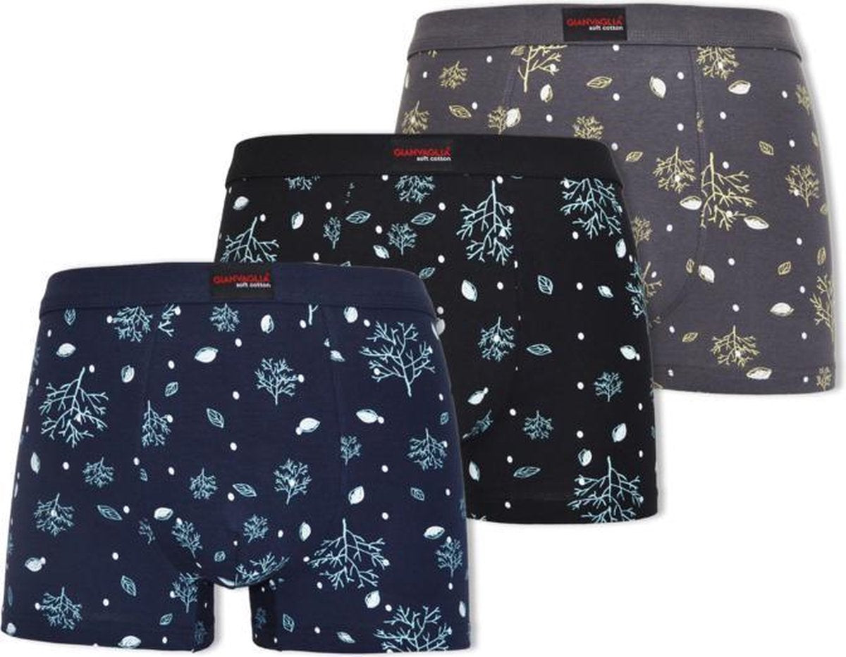 Gianvaglia Boxershort - 3-pack - Breeze - Maat L