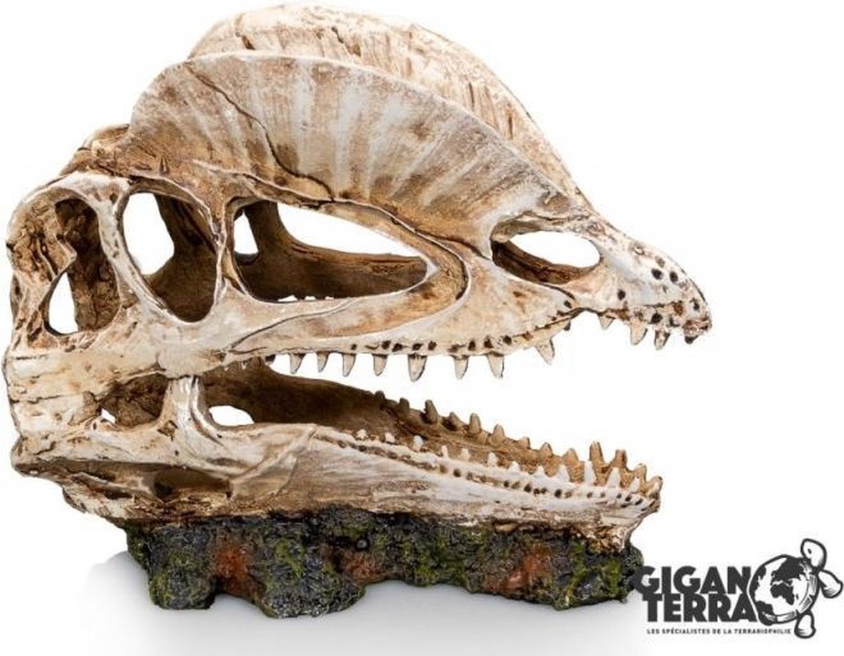 Giganterra Dinosaurus 19x9x14cm