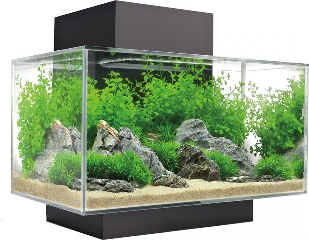 Fluval edge i 2.0 aquariumkit 23l Zwart 43x26x36cm