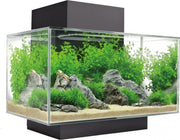 Fluval edge i 2.0 aquariumkit 23l Zwart 43x26x36cm