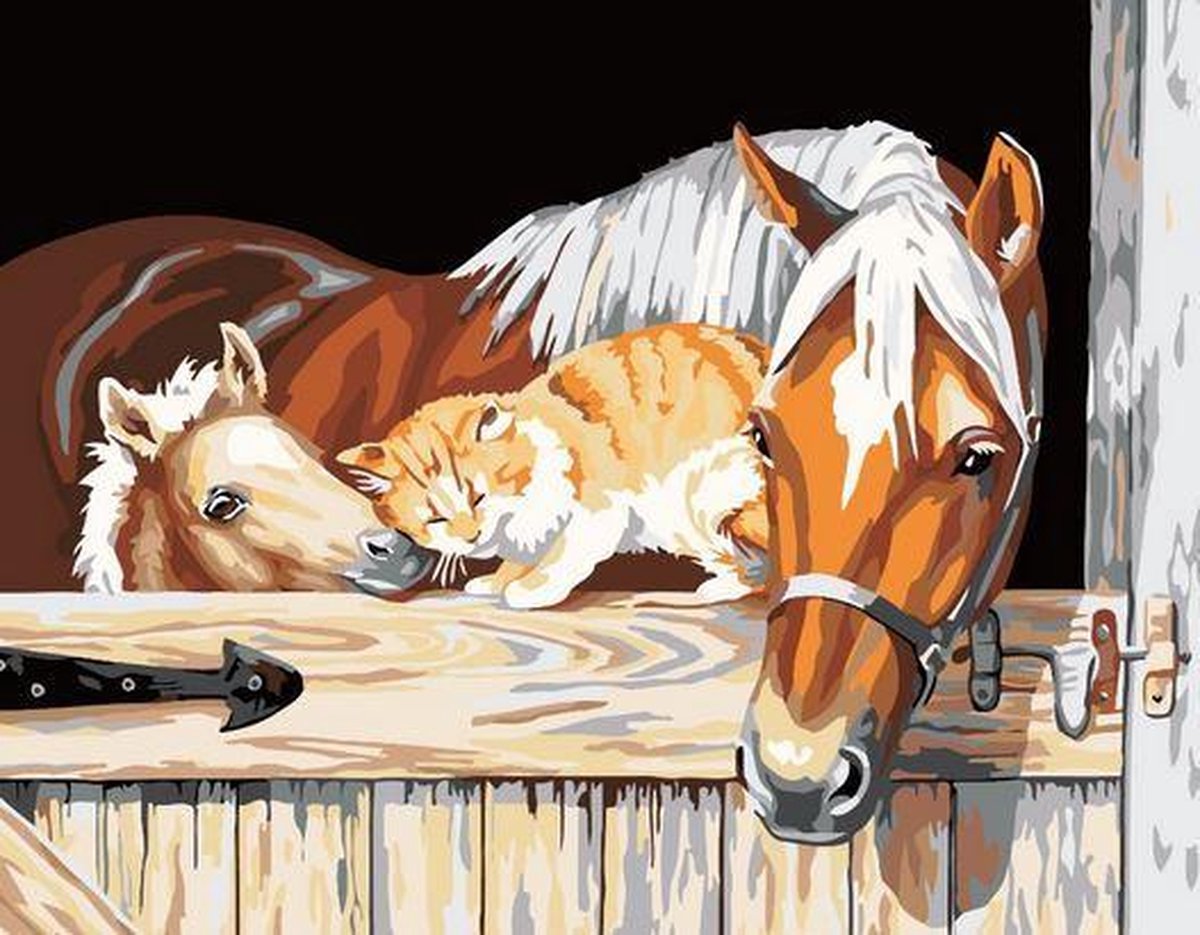 Schilderen op nummer paard - veulen - kat (zonder frame)