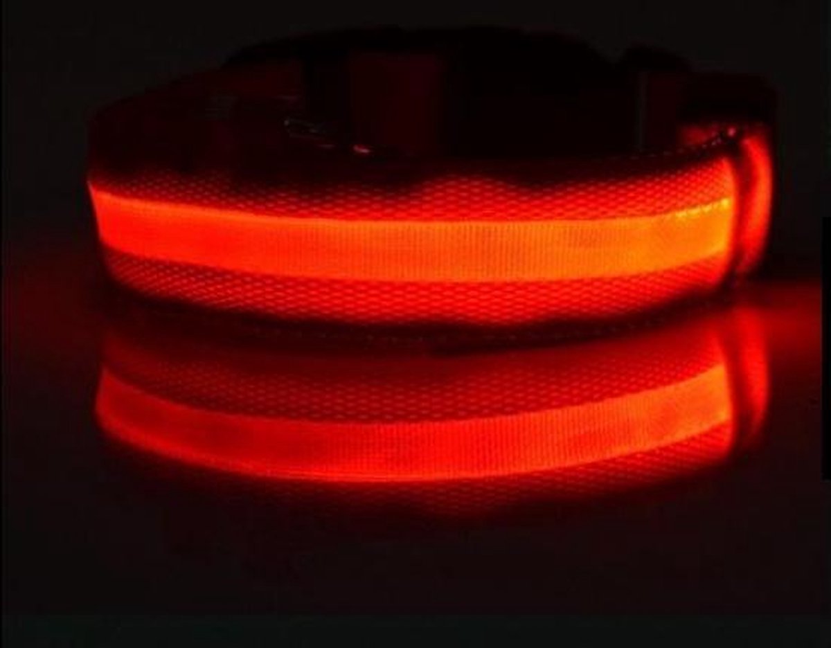 LED halsband voor honden - Rood - XS - Lichtgevende halsbanden voor hond - Puppy halsbandje - Puppie - Halsbandjes - Hondenhalsband met lichtje - Lichtgevend - Licht in het donker - Hondenhalsbanden