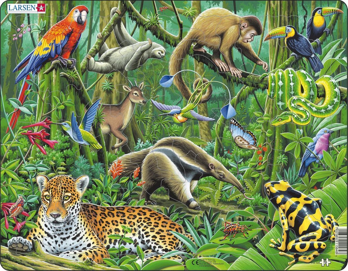 Puzzel Maxi Dieren - Zuid-Amerikaans Regenwoud - 70 stukjes