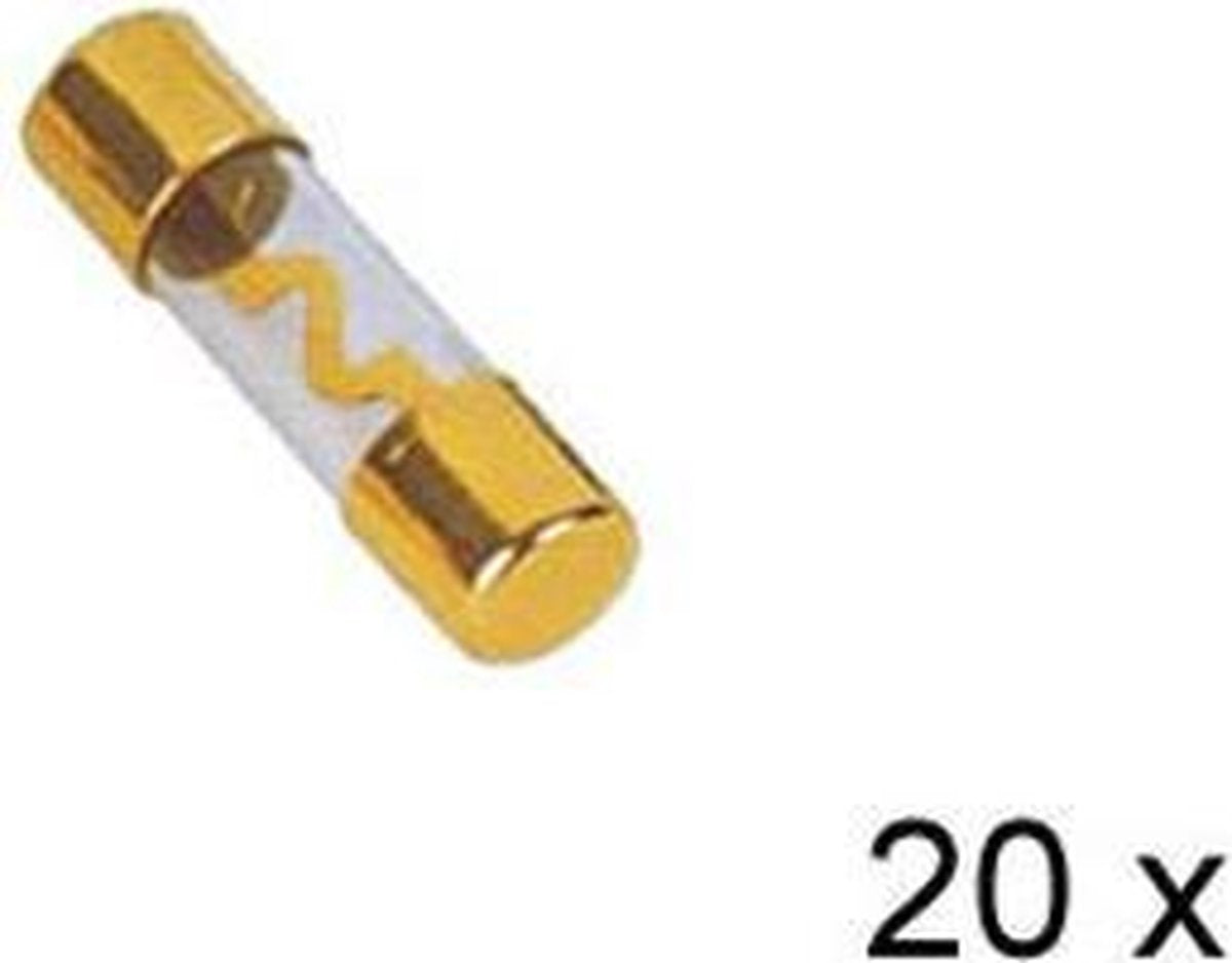 AGU Glaszekering  verguld   60A  20x