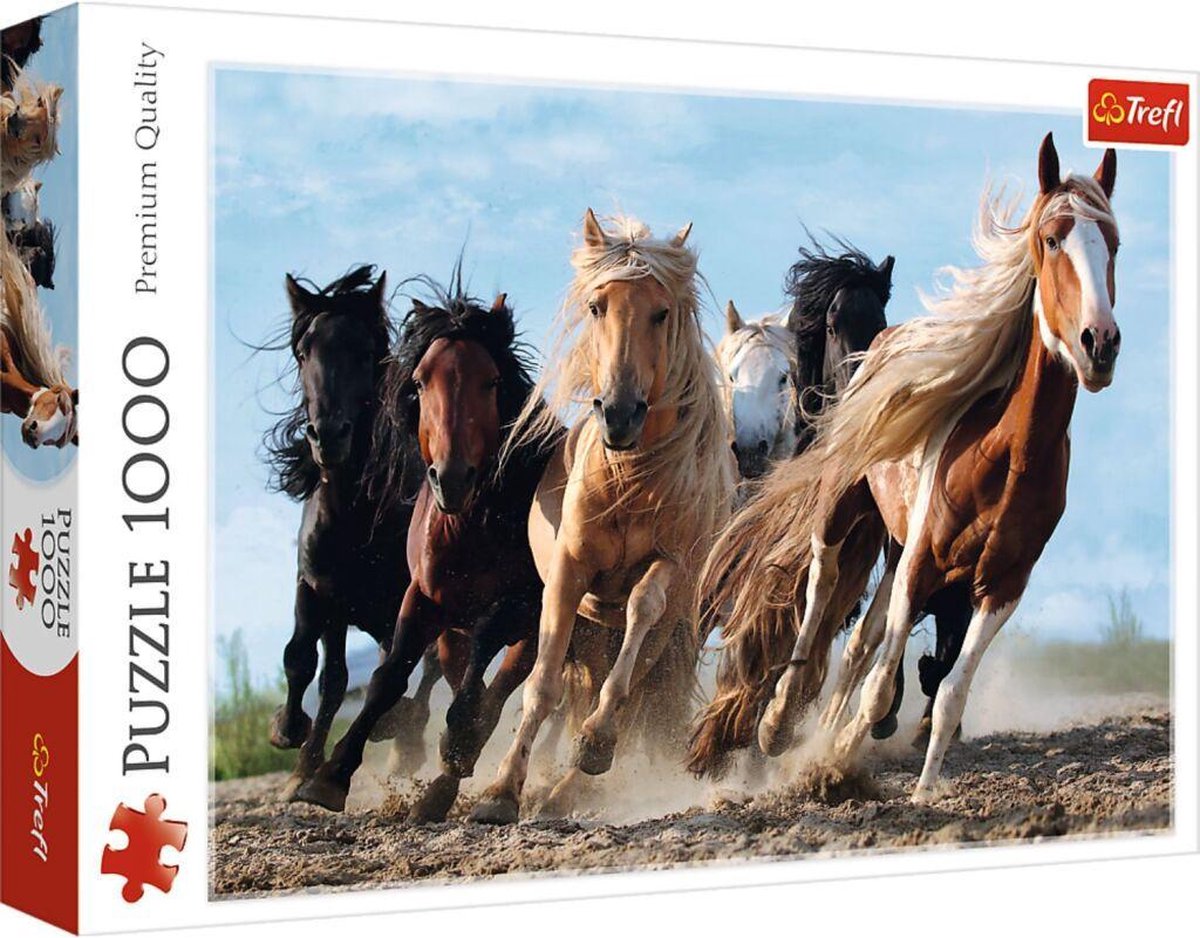 Galopperende paarden