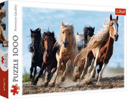 Galopperende paarden