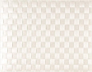 Saleen Rectangular Placemat