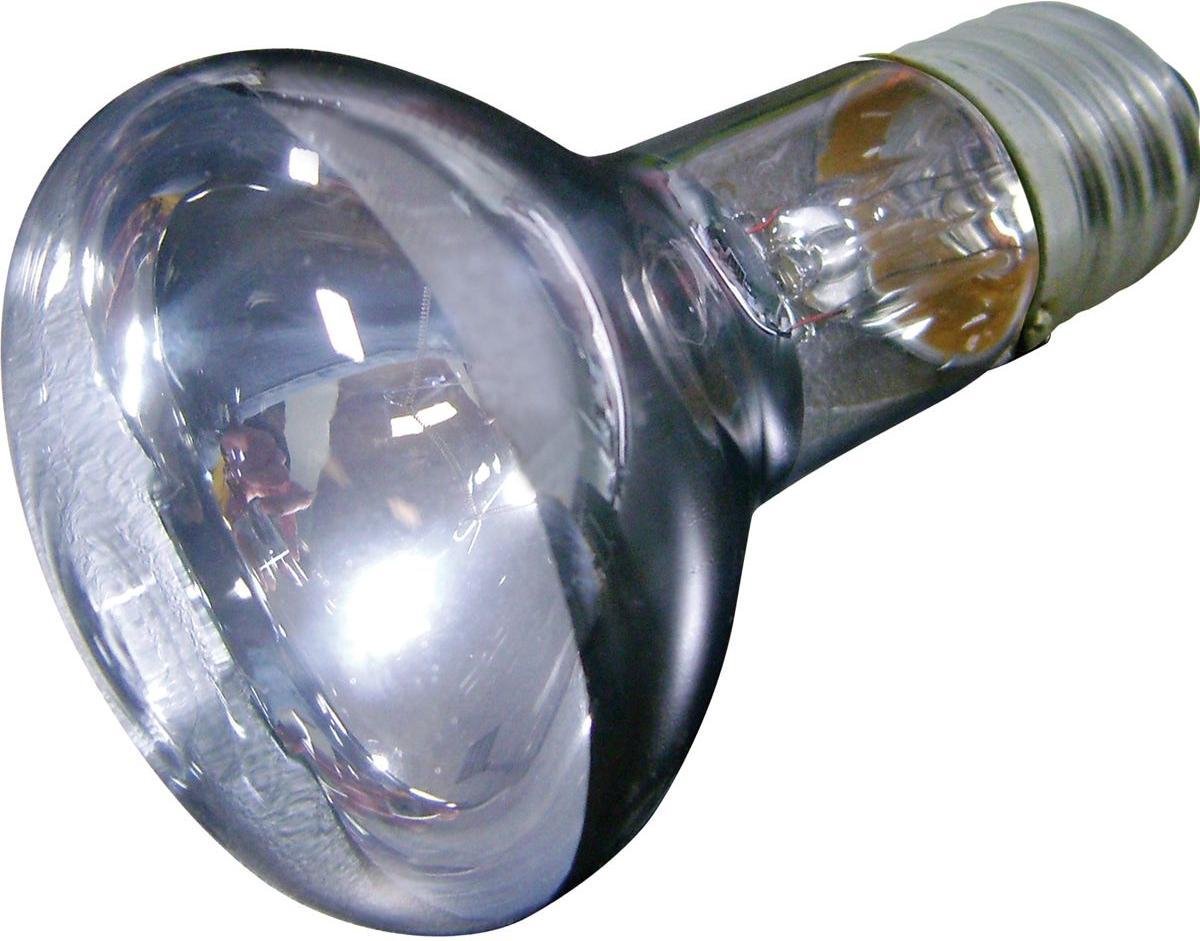 Daglichtlamp Terrarium Daylight Joule - 100 watt
