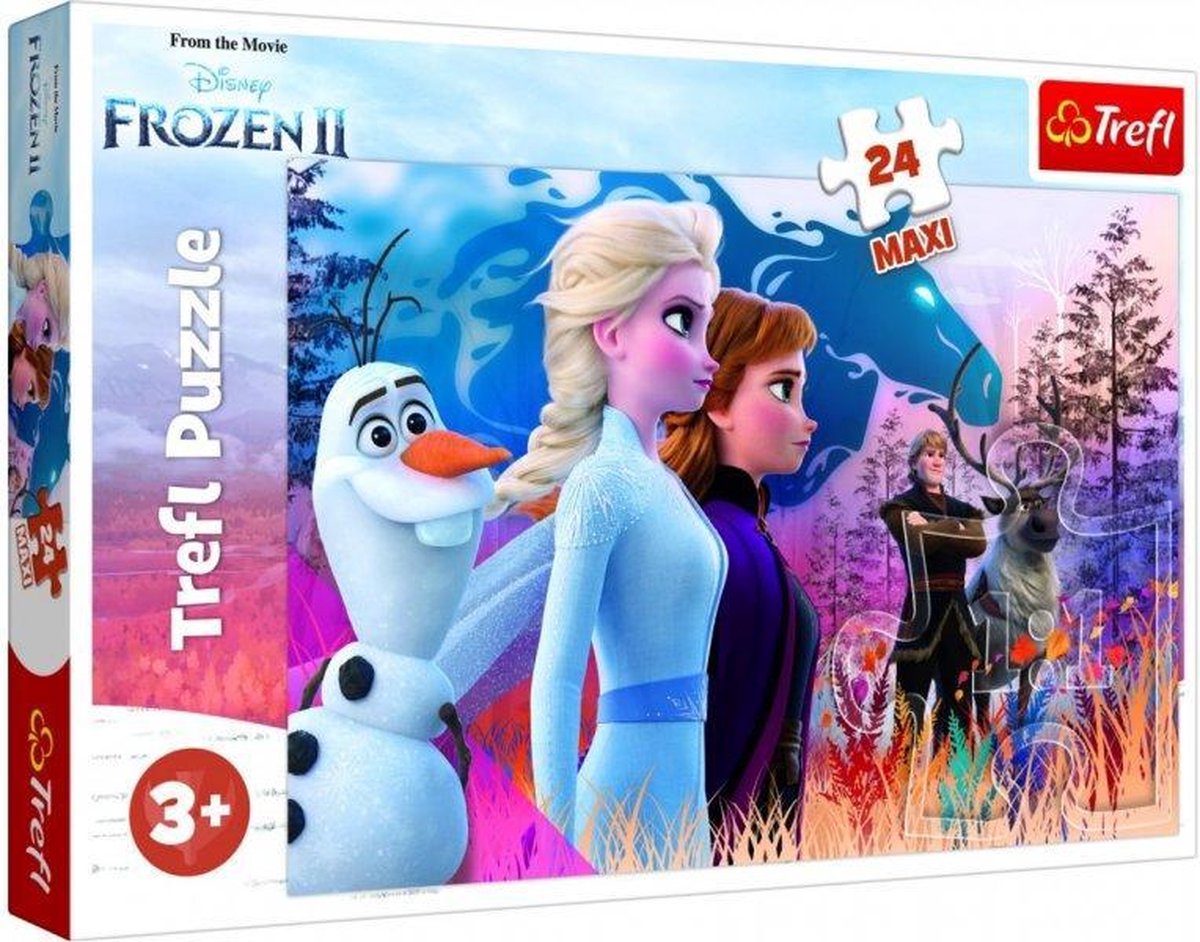 Puzzel D2:D120 Frozen 2 maxi: 24 stukjes