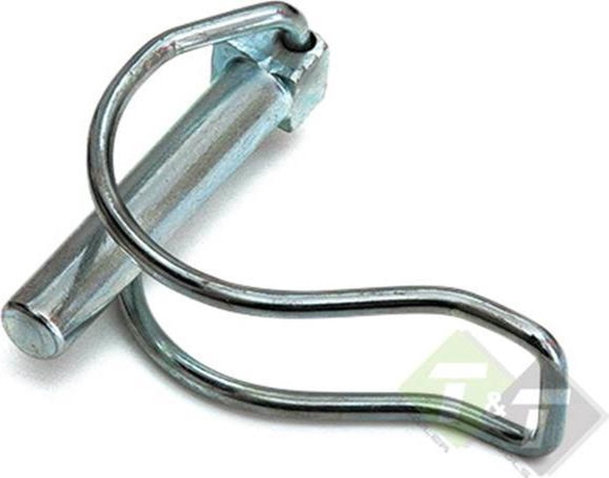 Buis borgpen 8x50 mm