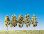 Faller - 5 Berken