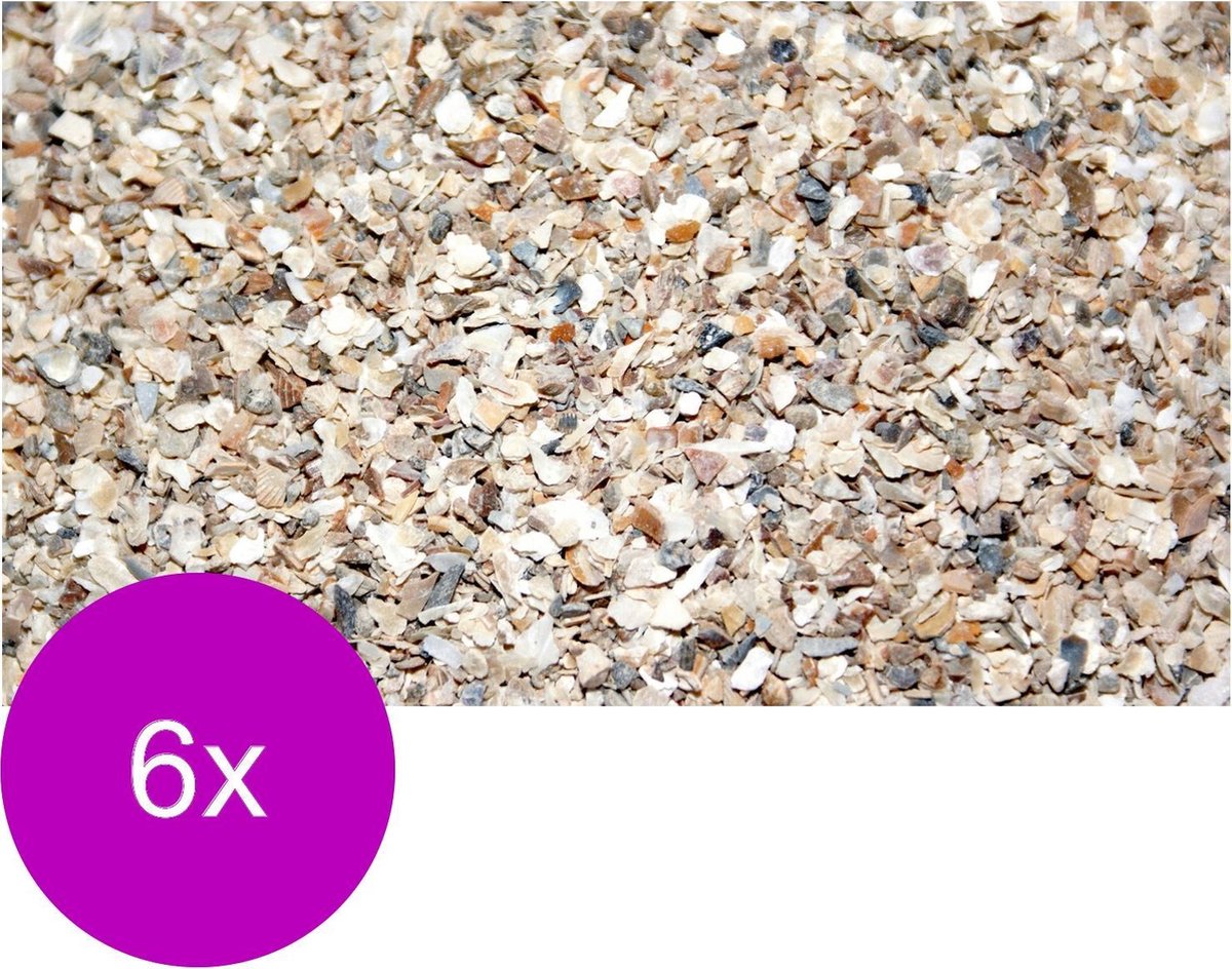 Thijssen Oester/Schelpengrit - Supplement - 6 x 2 kg