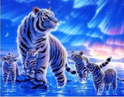 Paint By Numbers - Schilderen op Nummer - Tijgers in het Noorderlicht - 40x50cm - Volwassenen & Kinderen - Stipco