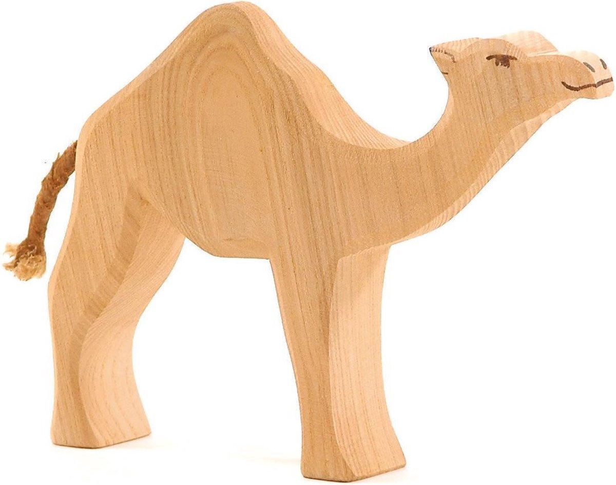 Dromedary