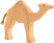 Dromedary