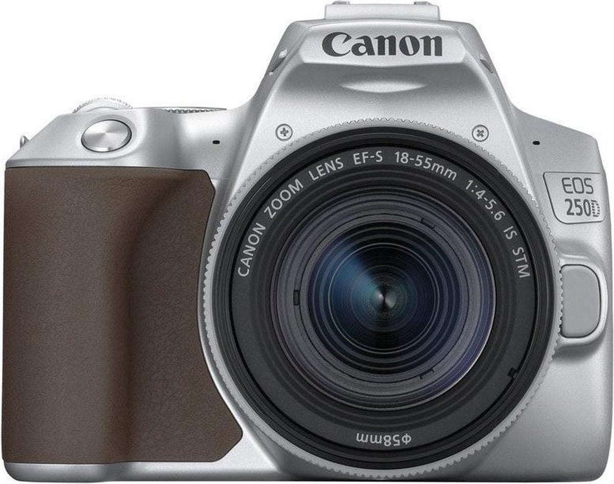 Canon EOS 250D + EF-S 18-55mm IS STM - Zilver