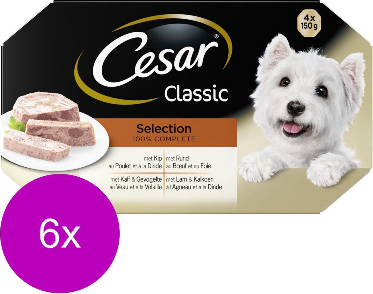Cesar Alu Multipack Classic Selection In Gelei - Hondenvoer - 6 x 4x150 g