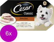 Cesar Alu Multipack Classic Selection In Gelei - Hondenvoer - 6 x 4x150 g
